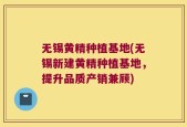 无锡黄精种植基地(无锡新建黄精种植基地，提升品质产销兼顾)