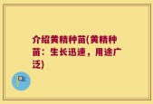介绍黄精种苗(黄精种苗：生长迅速，用途广泛)