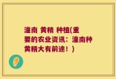 潼南 黄精 种植(重要的农业资讯：潼南种黄精大有前途！)