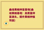曲靖黄精种苗基地(曲靖黄精基地：高质量种苗源头，提升黄精种植效益)