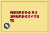 天津滇黄精种植(天津滇黄精的种植技术和管理)