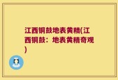 江西铜鼓地表黄精(江西铜鼓：地表黄精奇观)