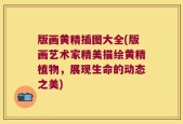 版画黄精插图大全(版画艺术家精美描绘黄精植物，展现生命的动态之美)