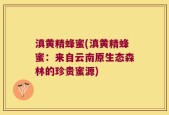 滇黄精蜂蜜(滇黄精蜂蜜：来自云南原生态森林的珍贵蜜源)