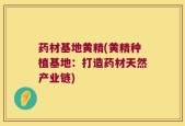 药材基地黄精(黄精种植基地：打造药材天然产业链)