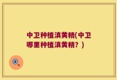 中卫种植滇黄精(中卫哪里种植滇黄精？)