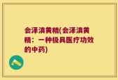 会泽滇黄精(会泽滇黄精：一种极具医疗功效的中药)