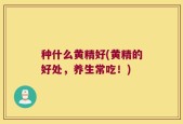 种什么黄精好(黄精的好处，养生常吃！)