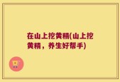 在山上挖黄精(山上挖黄精，养生好帮手)