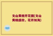文山黄精开花图(文山黄精盛放，花开如海)