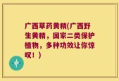 广西草药黄精(广西野生黄精，国家二类保护植物，多种功效让你惊叹！)