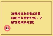 滇黄精生长特性(滇黄精的生长特性分析，了解它的成长过程)