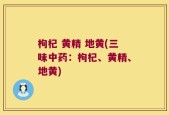 枸杞 黄精 地黄(三味中药：枸杞、黄精、地黄)