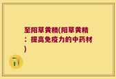 至阳草黄精(阳草黄精：提高免疫力的中药材)
