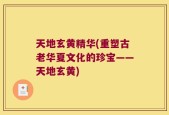 天地玄黄精华(重塑古老华夏文化的珍宝——天地玄黄)