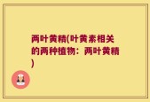 两叶黄精(叶黄素相关的两种植物：两叶黄精)