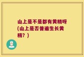 山上是不是都有黄精呀(山上是否普遍生长黄精？)