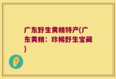 广东野生黄精特产(广东黄精：珍稀野生宝藏)