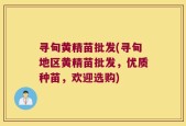 寻甸黄精苗批发(寻甸地区黄精苗批发，优质种苗，欢迎选购)
