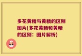 多花黄精与黄精的区别图片(多花黄精和黄精的区别：图片解析)