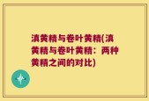 滇黄精与卷叶黄精(滇黄精与卷叶黄精：两种黄精之间的对比)