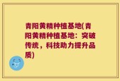 青阳黄精种植基地(青阳黄精种植基地：突破传统，科技助力提升品质)
