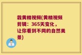 栽黄精视频(黄精视频剪辑：365天变化，让你看到不同的自然美景)
