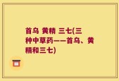 首乌 黄精 三七(三种中草药——首乌、黄精和三七)