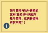 狭叶黄精与轮叶黄精的区别(比较狭叶黄精与轮叶黄精，这两种植物有何不同？)