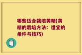 哪些适合栽培黄精(黄精的栽培方法：适宜的条件与技巧)