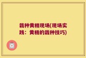 栽种黄精现场(现场实践：黄精的栽种技巧)