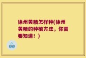 徐州黄精怎样种(徐州黄精的种植方法，你需要知道！)