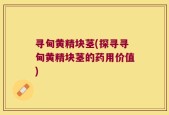 寻甸黄精块茎(探寻寻甸黄精块茎的药用价值)
