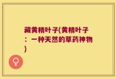 藏黄精叶子(黄精叶子：一种天然的草药神物)