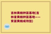 吉林黄精种苗基地(吉林省黄精种苗基地——育苗黄精成效佳)