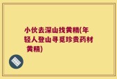 小伙去深山找黄精(年轻人登山寻觅珍贵药材 黄精)