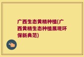 广西生态黄精种植(广西黄精生态种植展现环保新典范)