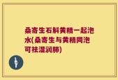 桑寄生石斛黄精一起泡水(桑寄生与黄精同泡可祛湿润肺)