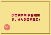倒苗的黄精(黄精逆生长，成为倒苗新趋势)
