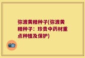 弥渡黄精种子(弥渡黄精种子：珍贵中药材重点种植及保护)