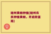 随州黄精种植(随州农民种植黄精，开启致富路)