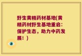 野生黄精药材基地(黄精药材野生基地重启：保护生态，助力中药发展！)