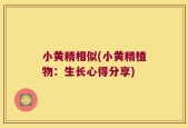 小黄精相似(小黄精植物：生长心得分享)