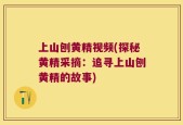 上山刨黄精视频(探秘黄精采摘：追寻上山刨黄精的故事)