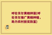 呼伦贝尔黄精种苗(呼伦贝尔推广黄精种植，助力农村脱贫致富)