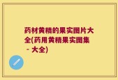 药材黄精的果实图片大全(药用黄精果实图集 - 大全)
