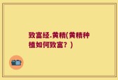 致富经.黄精(黄精种植如何致富？)