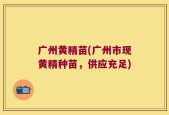 广州黄精苗(广州市现黄精种苗，供应充足)