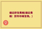 缙云野生黄精(缙云黄精：野外珍稀生物。)