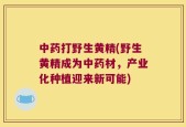 中药打野生黄精(野生黄精成为中药材，产业化种植迎来新可能)